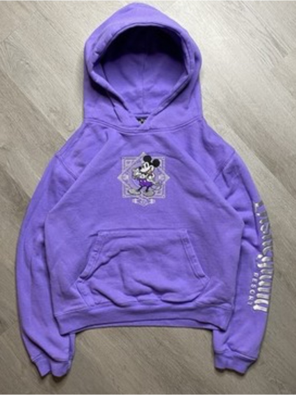Disney Purple Castle & Characters Hoodie